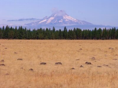 Putting Reservation Land Back in Indian Hands Image